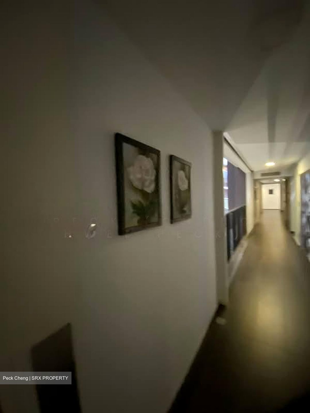Sant Ritz (D13), Condominium #586543501
